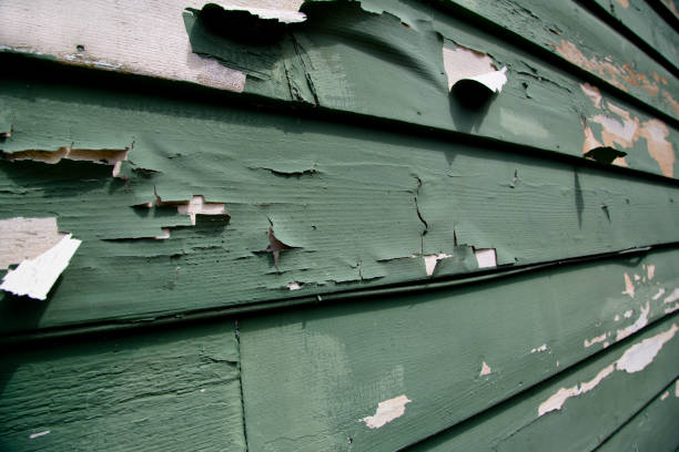 Best Insulated Siding Installation  in Jefferson, WI