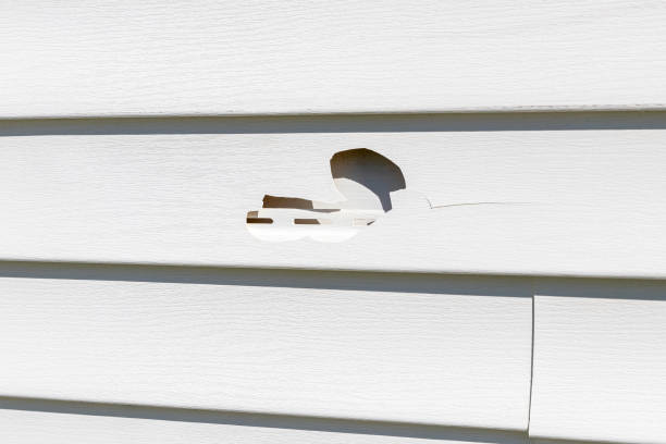 Best Weatherproofing and Sealing  in Jefferson, WI